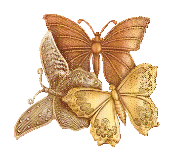 Butterflies graphics