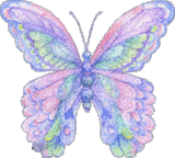 Butterflies graphics