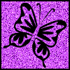 Butterflies graphics