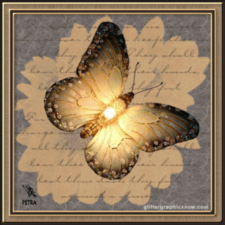 Butterflies graphics