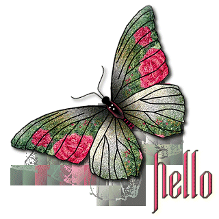 Butterflies graphics