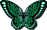 Butterflies graphics