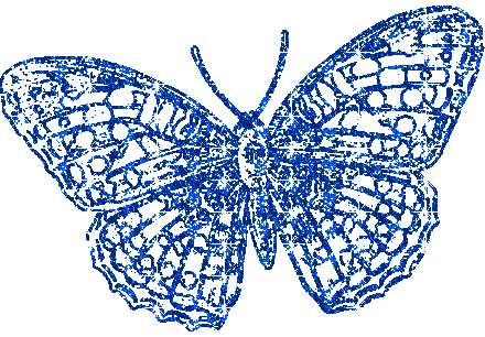 Butterflies graphics
