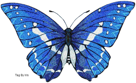 Butterflies graphics