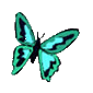 Butterflies graphics