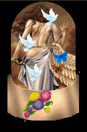 Butterflies graphics