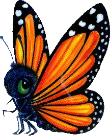 Butterflies graphics