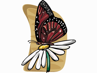 Butterflies graphics