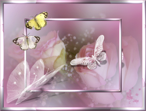 Butterflies graphics