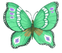 Butterflies graphics