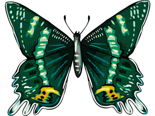 Butterflies graphics