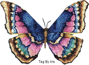 Butterflies graphics