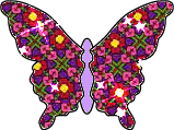 Butterflies graphics