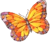Butterflies graphics