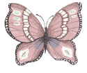 Butterflies graphics