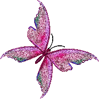 Butterflies graphics