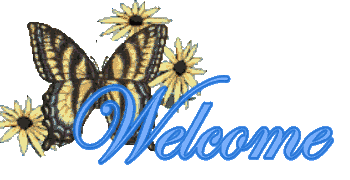 Butterflies graphics
