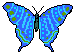 Butterflies graphics