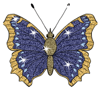 Butterflies graphics