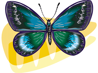 Butterflies graphics
