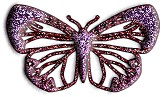 Butterflies graphics
