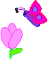 Butterflies graphics