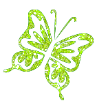 Butterflies graphics