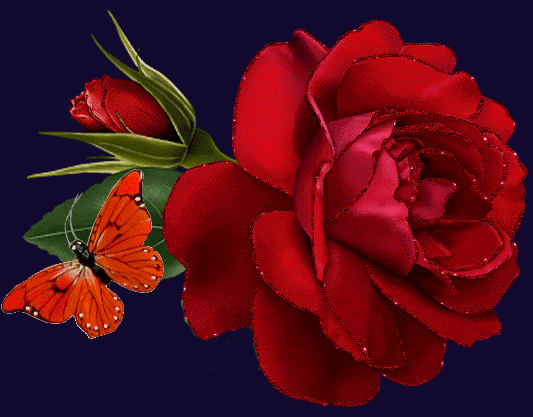 Butterflies graphics