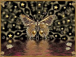 Butterflies graphics