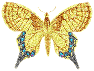 Butterflies graphics