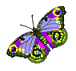 Butterflies graphics