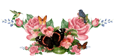 Butterflies graphics