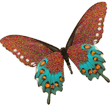 Butterflies graphics