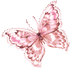 Butterflies graphics