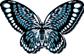 Butterflies graphics