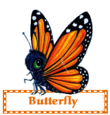Butterflies graphics