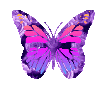 Butterflies graphics