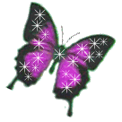Butterflies graphics