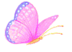 Butterflies graphics