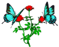 Butterflies graphics