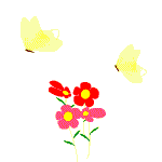 Butterflies graphics