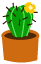 Cacti graphics