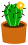 Cacti graphics