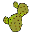 Cacti graphics