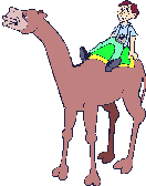 Camels graphics