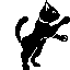 Cats graphics