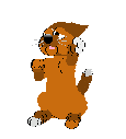 Cats graphics
