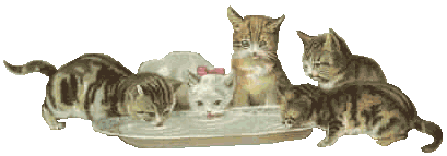 Cats graphics