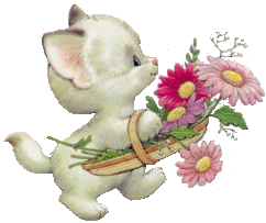 Cats graphics