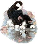 Cats graphics